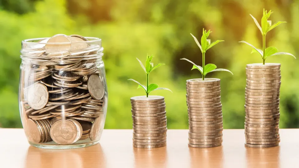 Incentives and Support